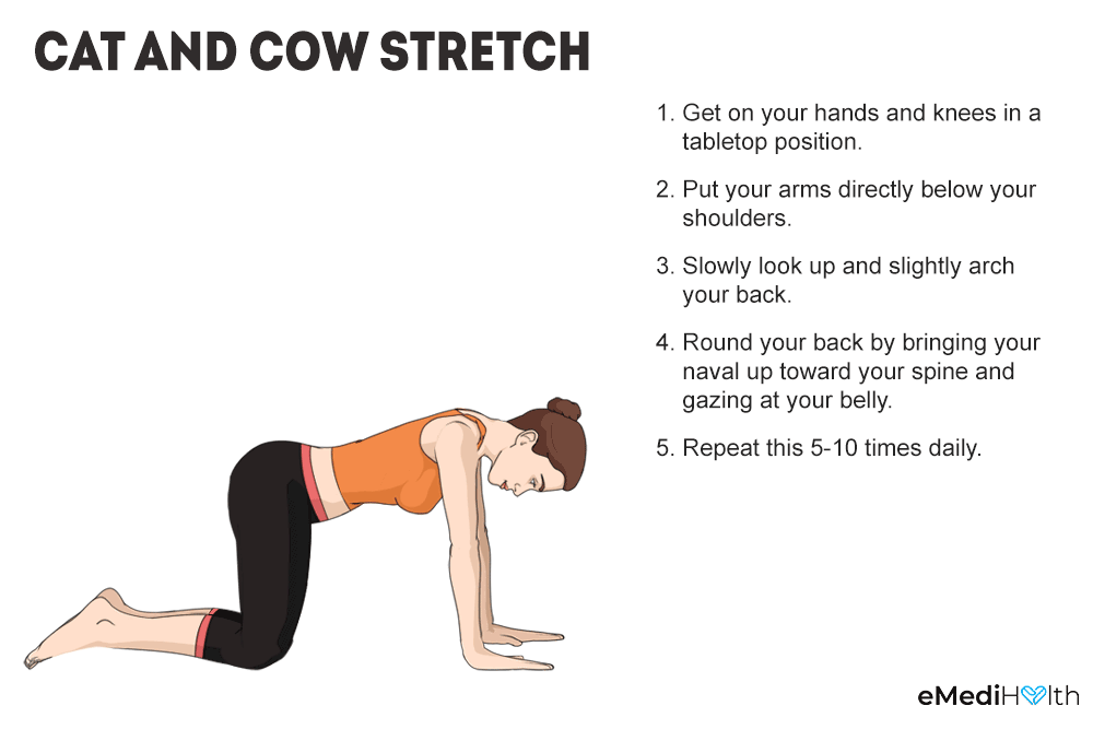 cat cow pose yoga