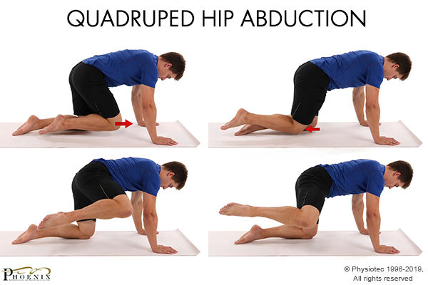 Quad Hip Extension