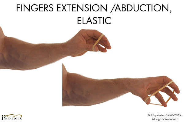 Fingers Extension/Abduction Elastic