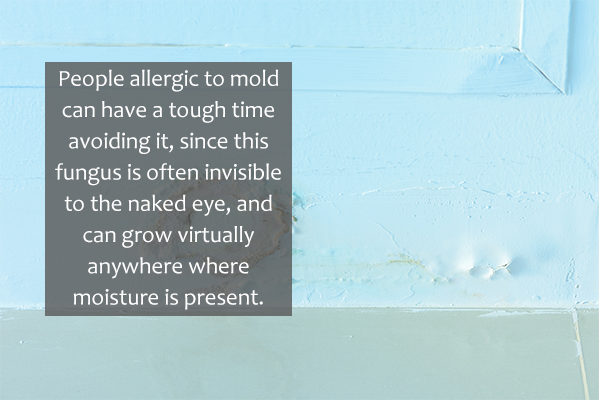 mold serves as a common allergy trigger
