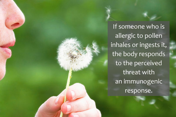 pollen is a common trigger of allergy