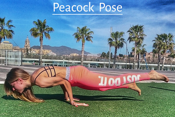 peacock yoga pose