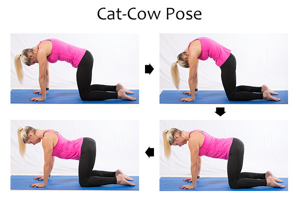Cat-cow Yoga Pose to Stop Lower Back Pain if You Sit Too Long