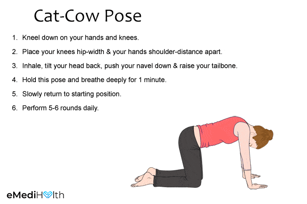 how to do the cat-cow pose
