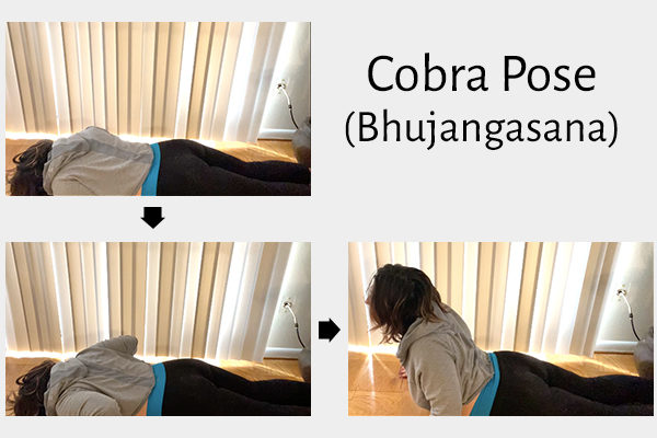 steps to do the cobra yoga pose (bhujangasana)