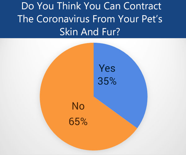 can coronavirus survive on the skin or fur of animals?