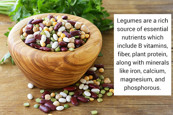 legumes are a nutritious food option for children