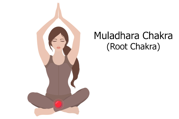  chakra du muladhara (chakra racine)