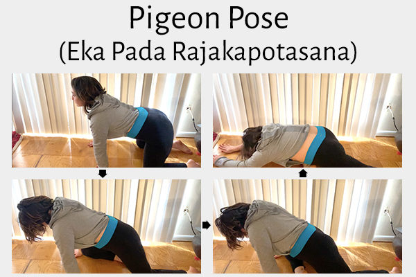steps to do the pigeon pose (eka pada rajakapotasana)
