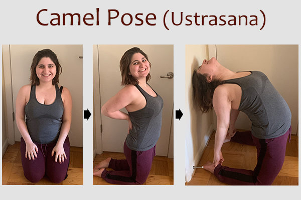camel yoga pose (ustrasana)