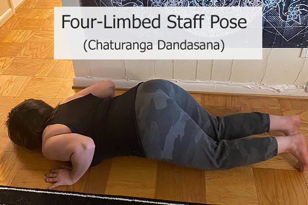 four-limbed staff pose (chaturanga dandasana)