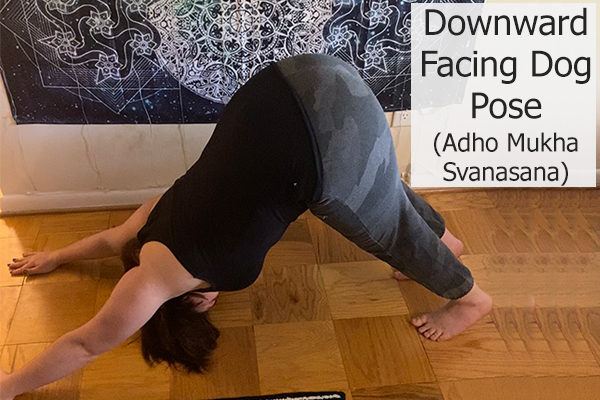 downward facing dog pose (adho mukha svanasana)