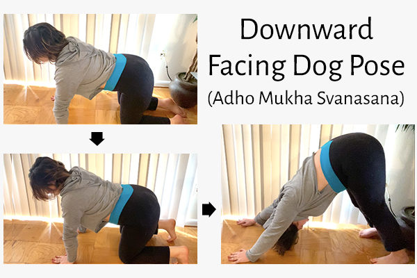 downward-facing dog pose (adho mukha svanasana)
