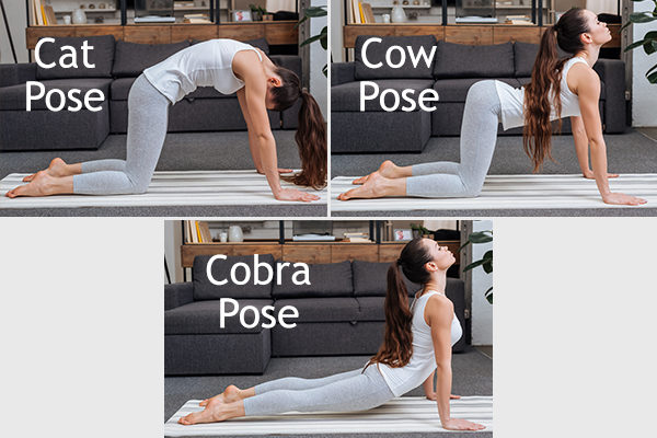 cat, cow, and cobra poses to relieve constipation