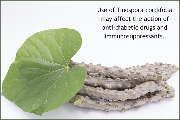 drug interactions of tinospora cordifolia