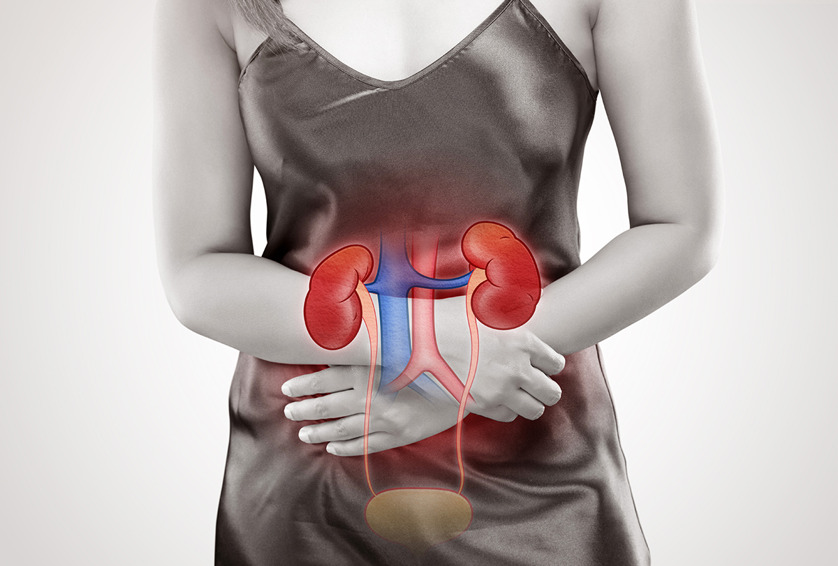 Prerenal, Intrinsic Renal, and Postrenal Kidney Damage