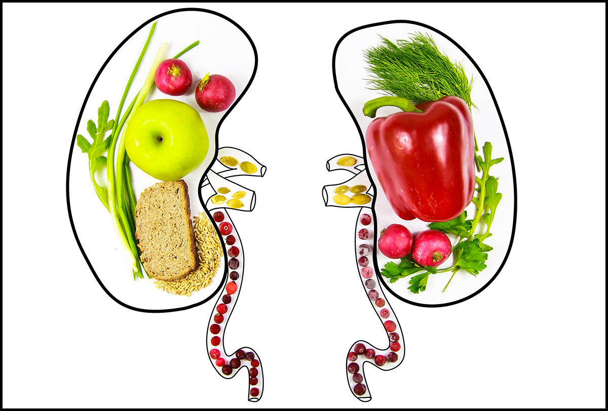 10 Foods That Are Good for the Kidneys - eMediHealth