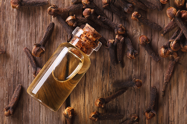 clove usage can help deal with gingivitis