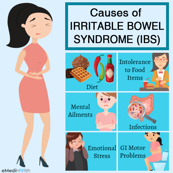 What Really Causes Ibs 2024 - Deena Tessie