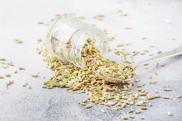 consuming fennel can help in relieving indigestion