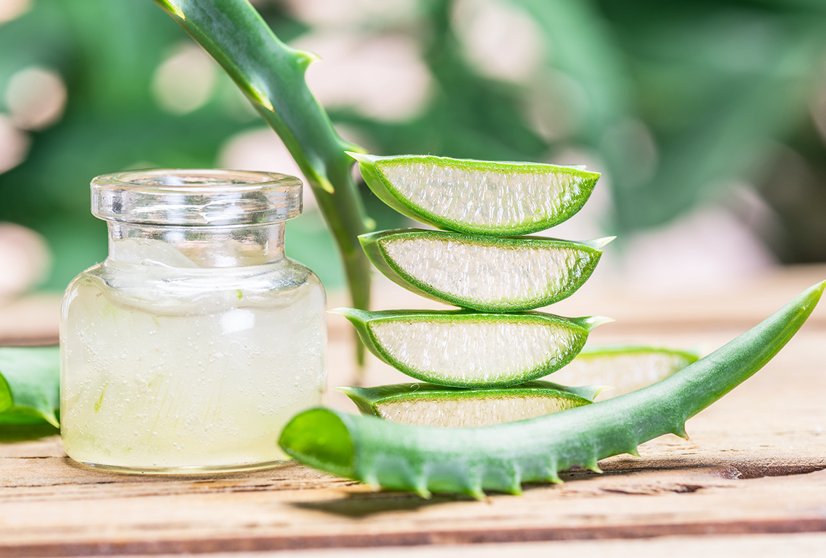 aloe vera benefits