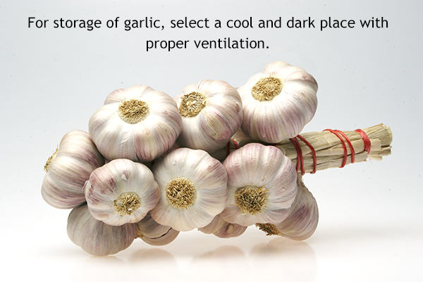 proper selection and storage of garlic