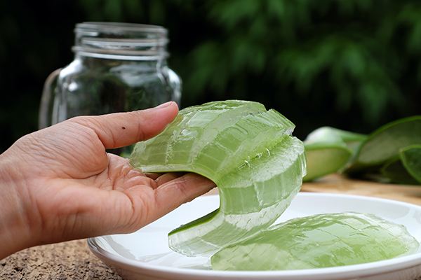 application of aloe vera can help soothe psoriasis