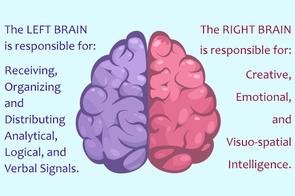 The Difference Between Right Brain And Left Brain Injury