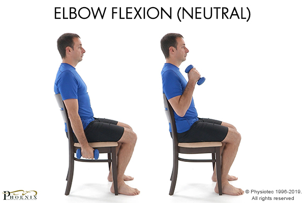 elbow flexion (neutral)