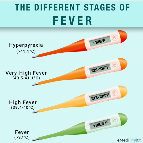 stages of fever