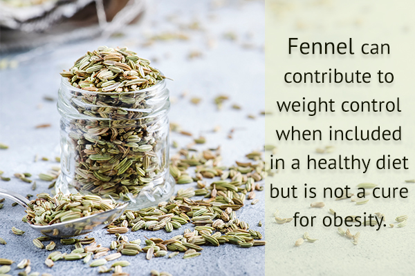 fennel can help control and regulate weight