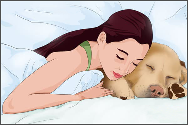 sleeping with pets can also disrupt your sleep