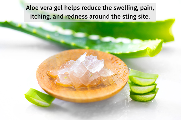 aloe vera gel can help reduce swelling, pain, and redness