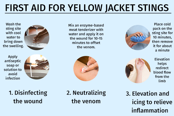 yellow jacket sting swelling