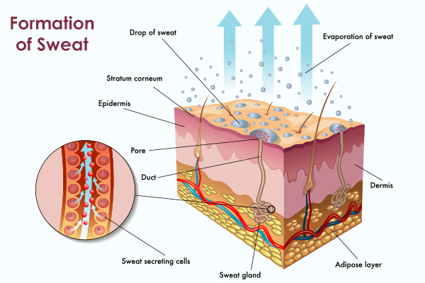 different types of hyperhidrosis