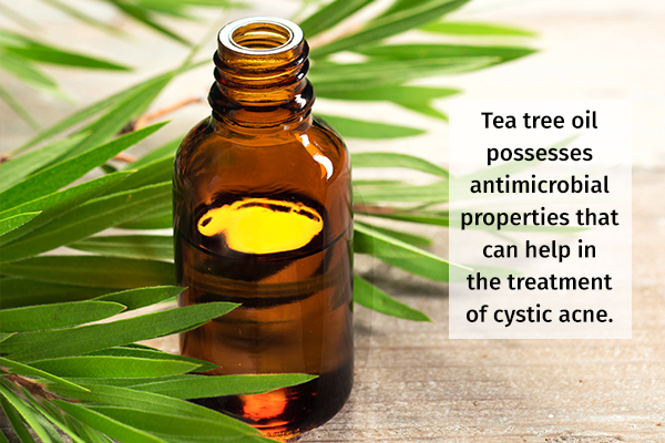 tea tree oil can help manage cystic acne