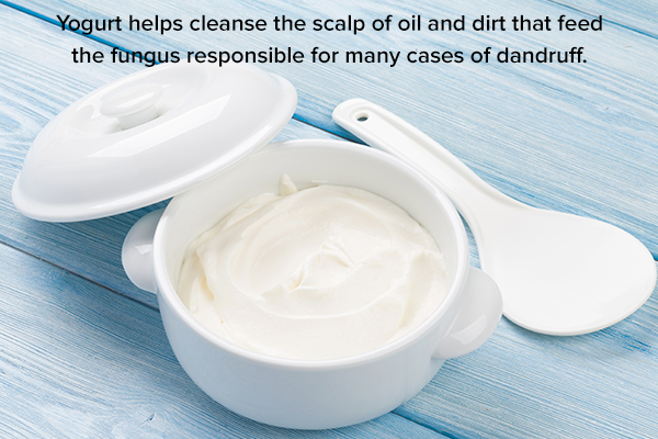 yogurt helps cleanse and nourish hair and scalp