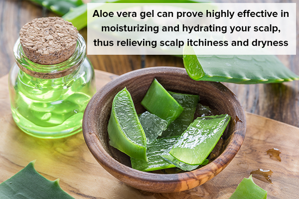 aloe vera gel application can help relieve dry scalp