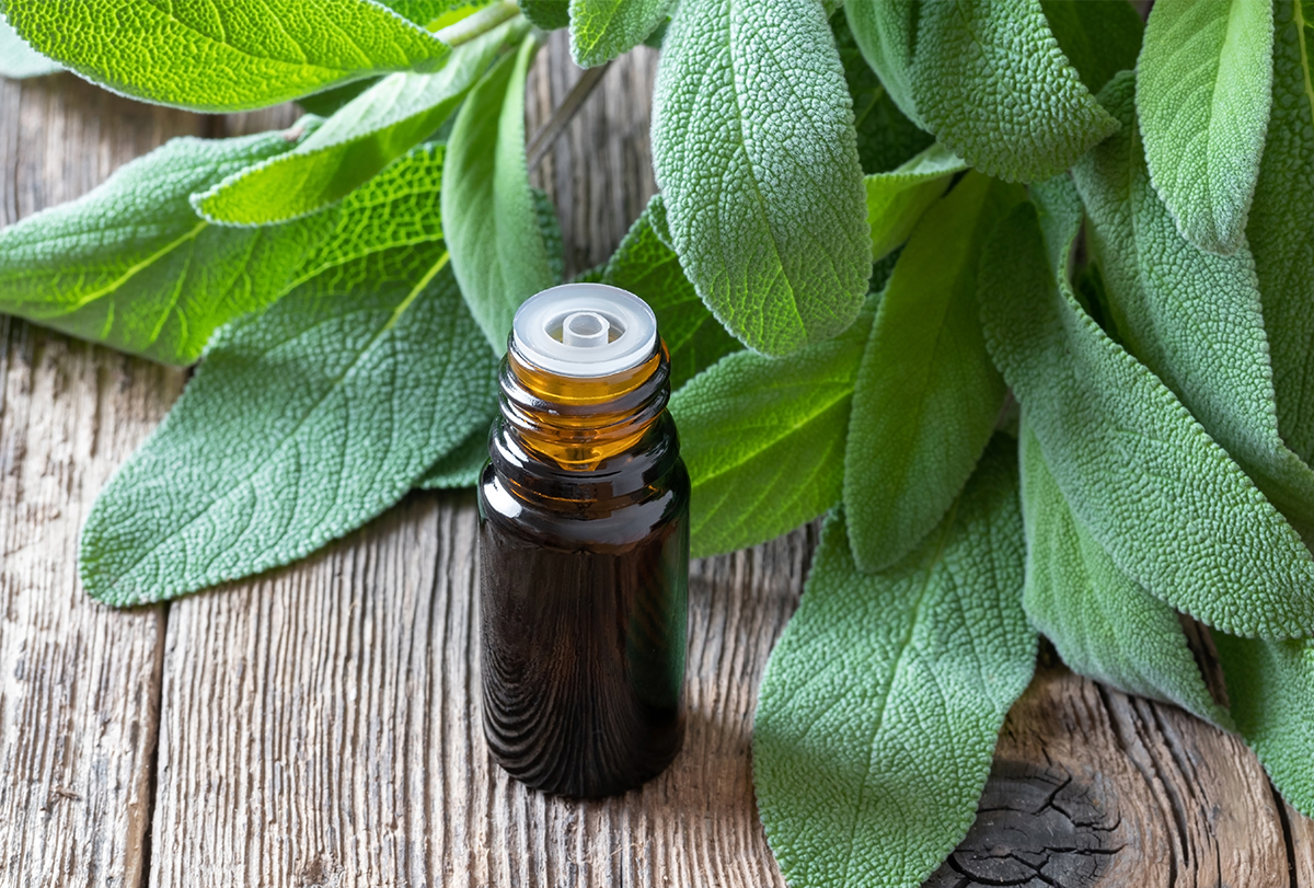 5 Benefits of Sage for Hair and Ways to Use It - eMediHealth
