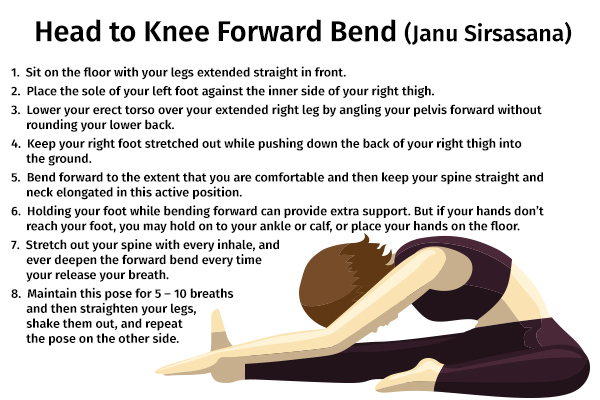head to knee forward bend pose (janu sirsasana)