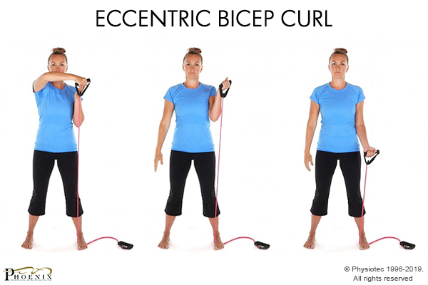 eccentric bicep curl