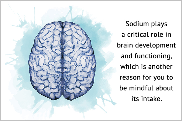 sodium plays a critical role in brain development