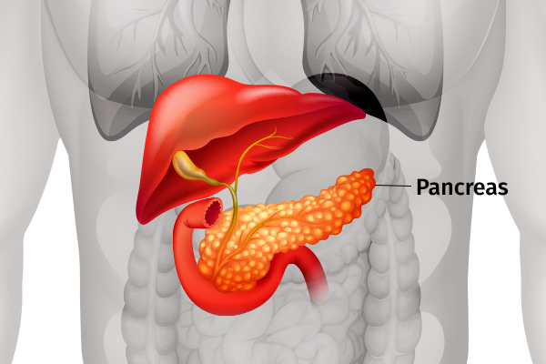 10 Amazing Foods To Heal Your Pancreas Emedihealth