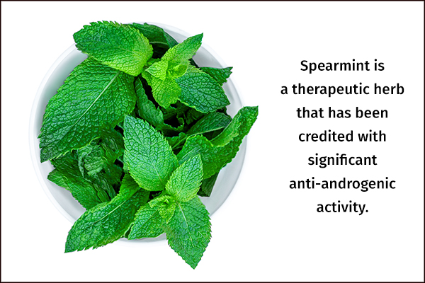 spearmint possesses significant anti-androgenic activity