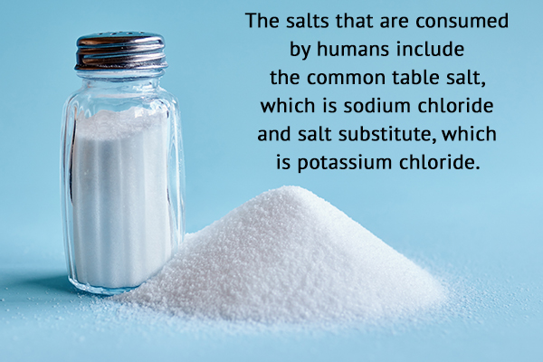 salt consumption can regulate volume and water balance