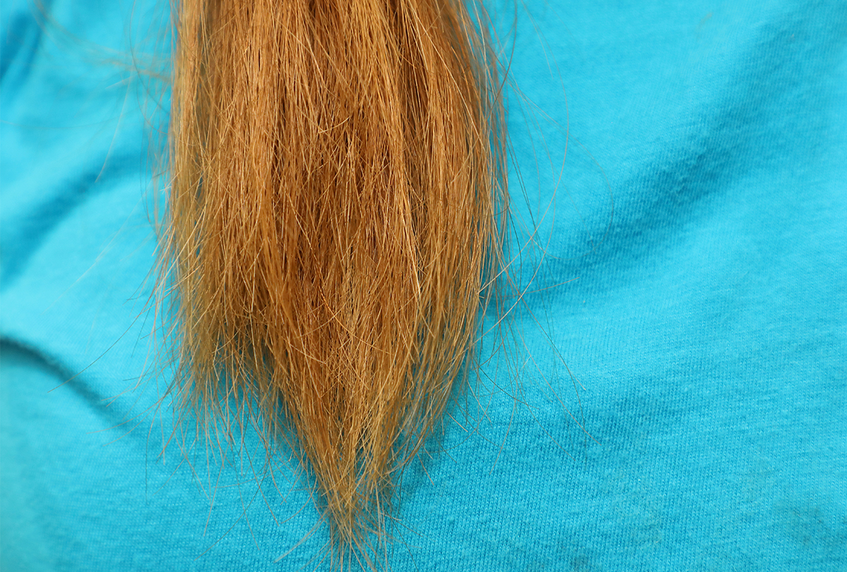 How to Fix and Prevent Bleach Breakage - wide 5