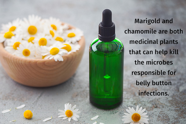 marigold and chamomile can help treat belly button infections