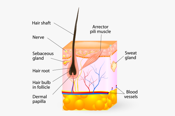 scalp buildup and smelly hair syndrome