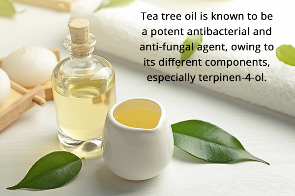 tea tree oil acts as a potent antibacterial and antifungal agent