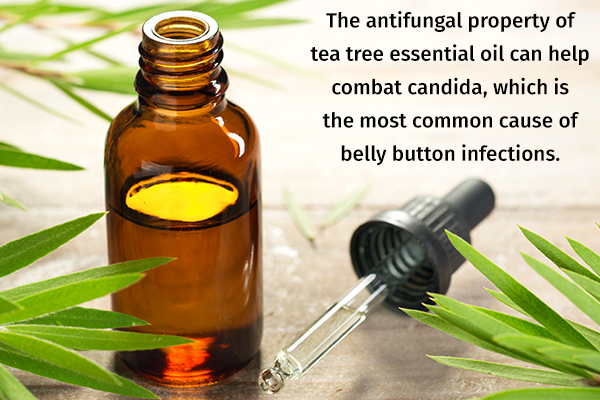 tea tree essential oil has antifungal properties